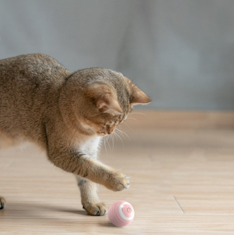 Haustier Spielzeug Automatischer Katzen Ball